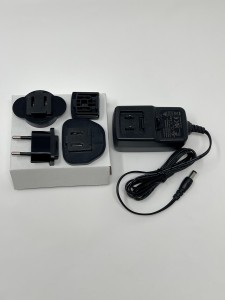 Microscope power supply